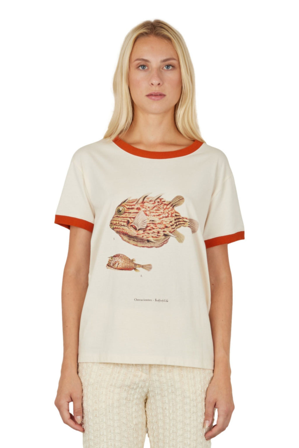 T-SHIRT IMPRIMÉ POISSONS