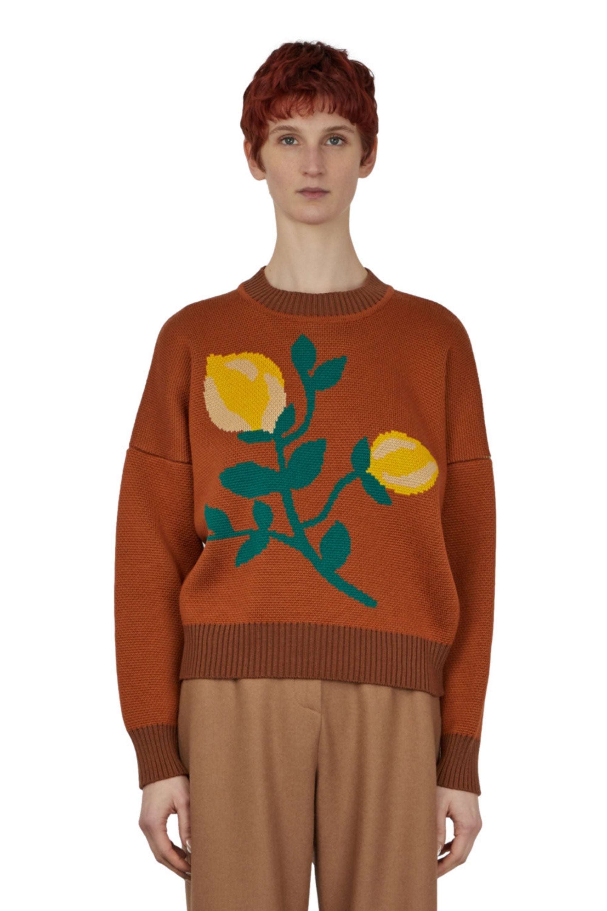 SWEATER JACQUARD MARRON